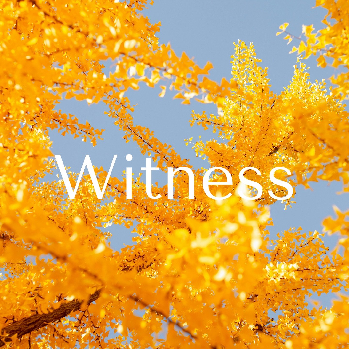 WITNESS a great church atmosphere here! Tomorrow we&rsquo;ll be speaking on our testimonies as Christians and our witness that we can be and share. See you tomorrow! 

#fountaincolorado #fountainvalley #church