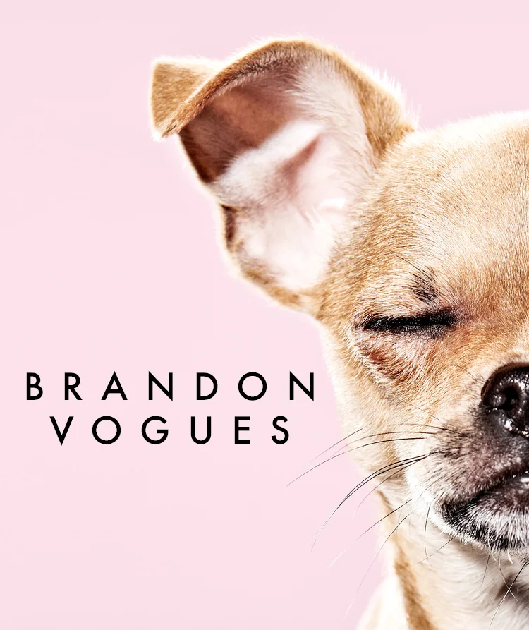 ArtSpeak: Brandon Voges