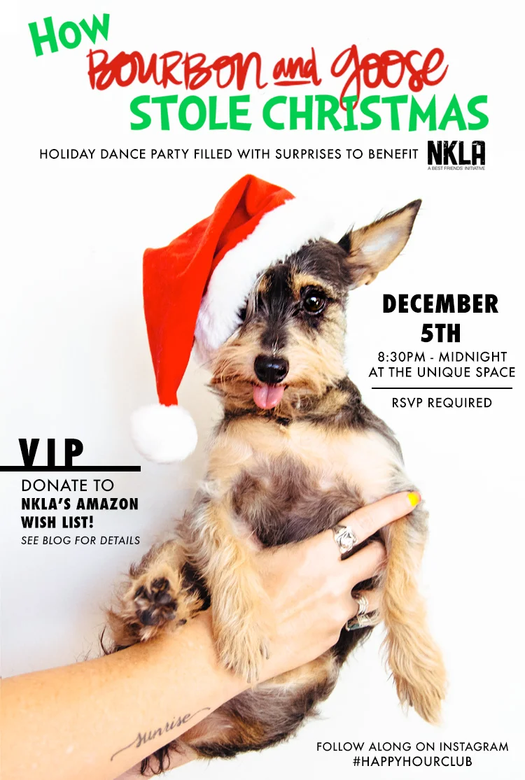 How Bourbon and Goose Stole Christmas Holiday Dance Party at The Unique Space