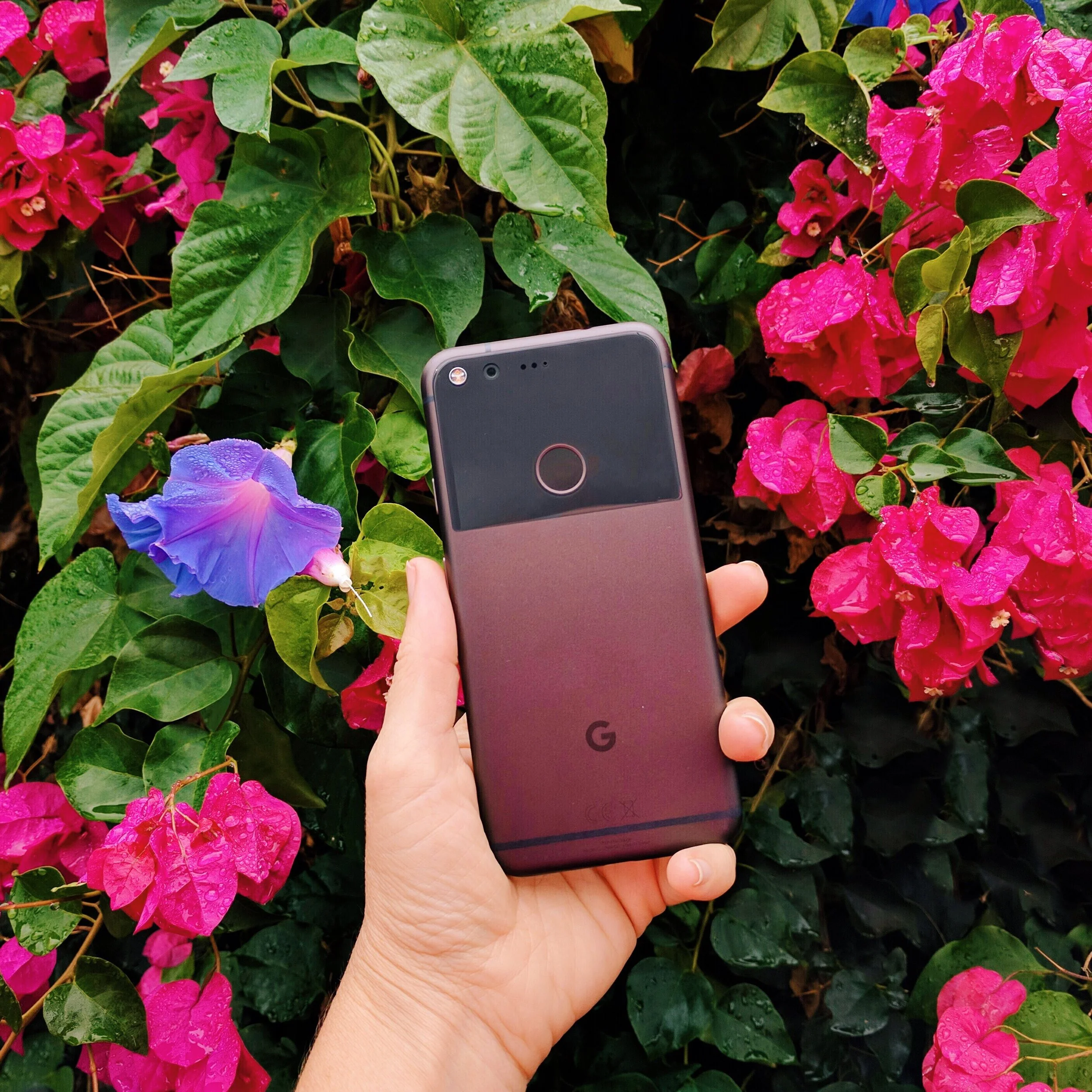 no. 5: google's pixel