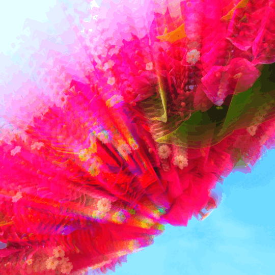 Note to Self no. 2: thoughts, tears and the work that must be done