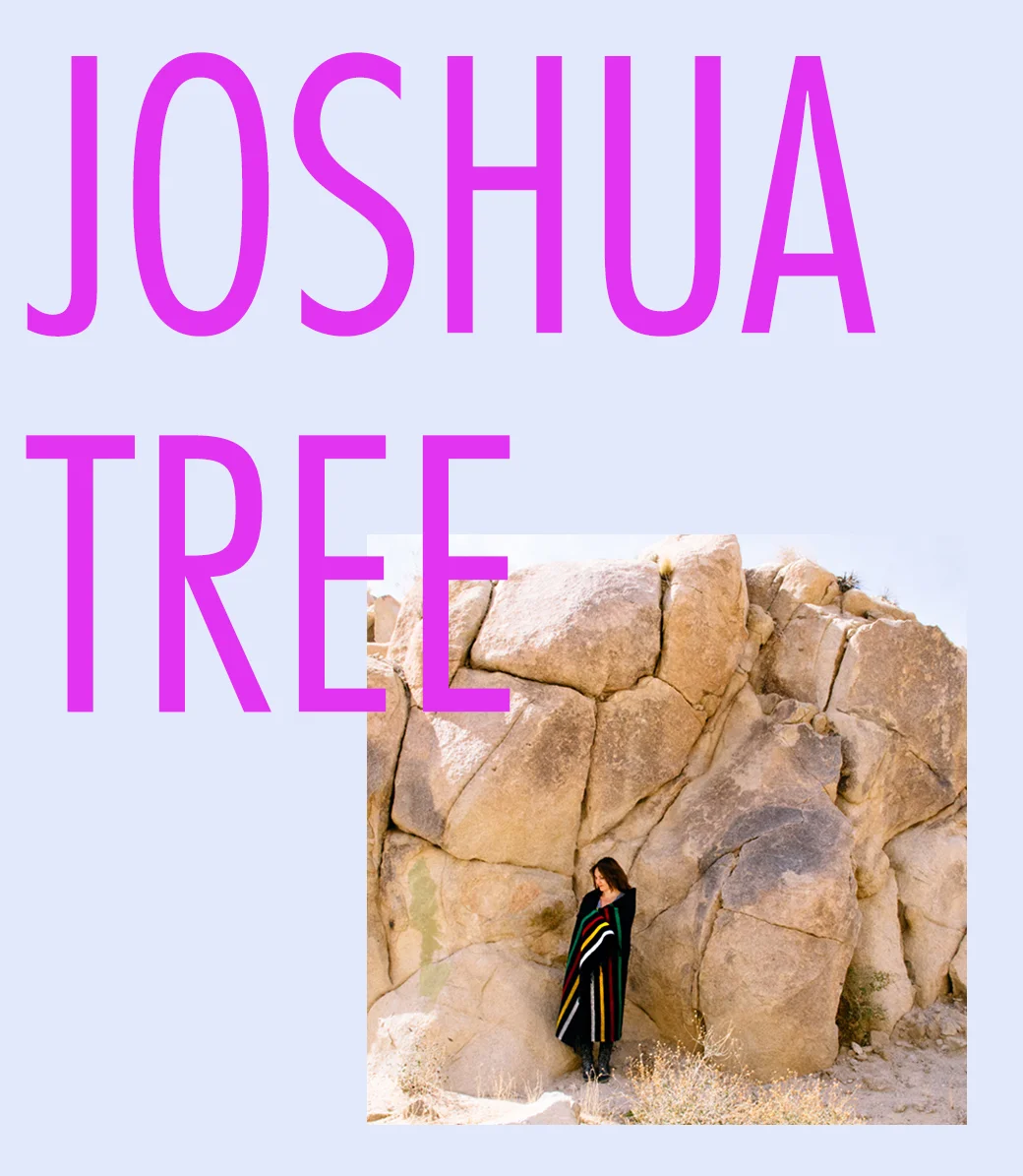 Let's Go: Adventure to Joshua Tree