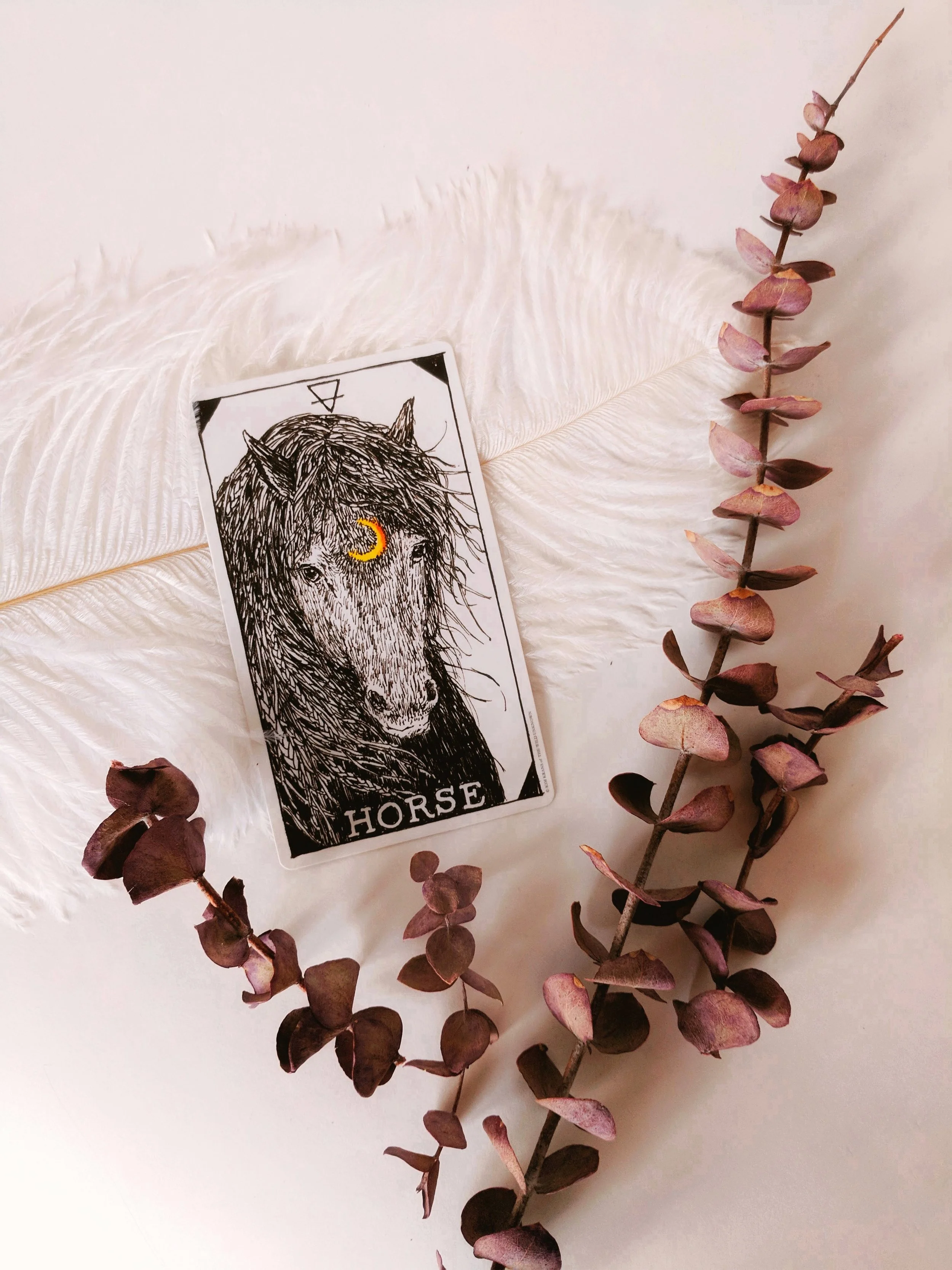 Love Letters to the Universe 01