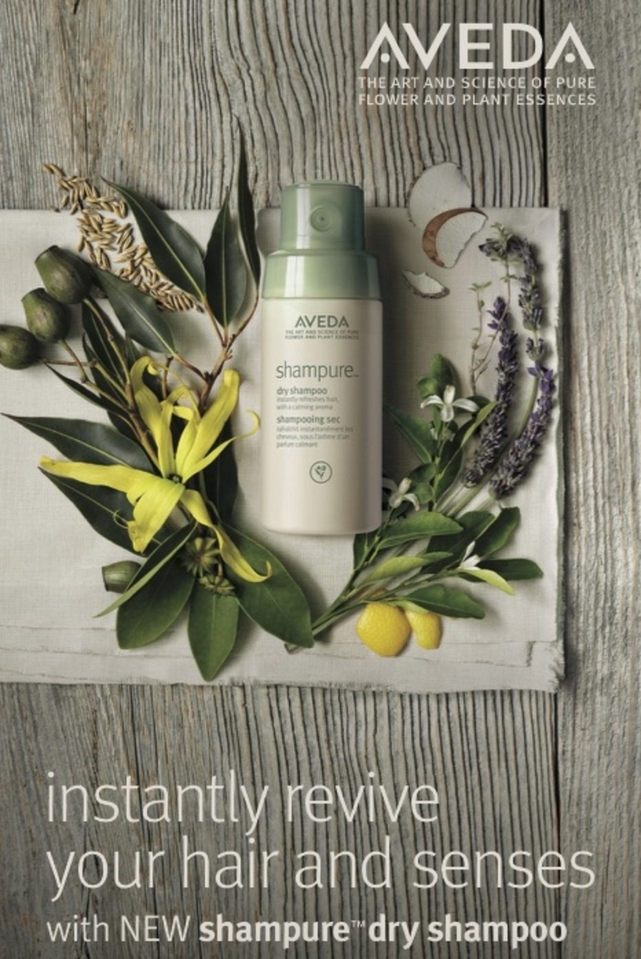 Recycle Your Style With Shampure Dry Shampoo and Styling