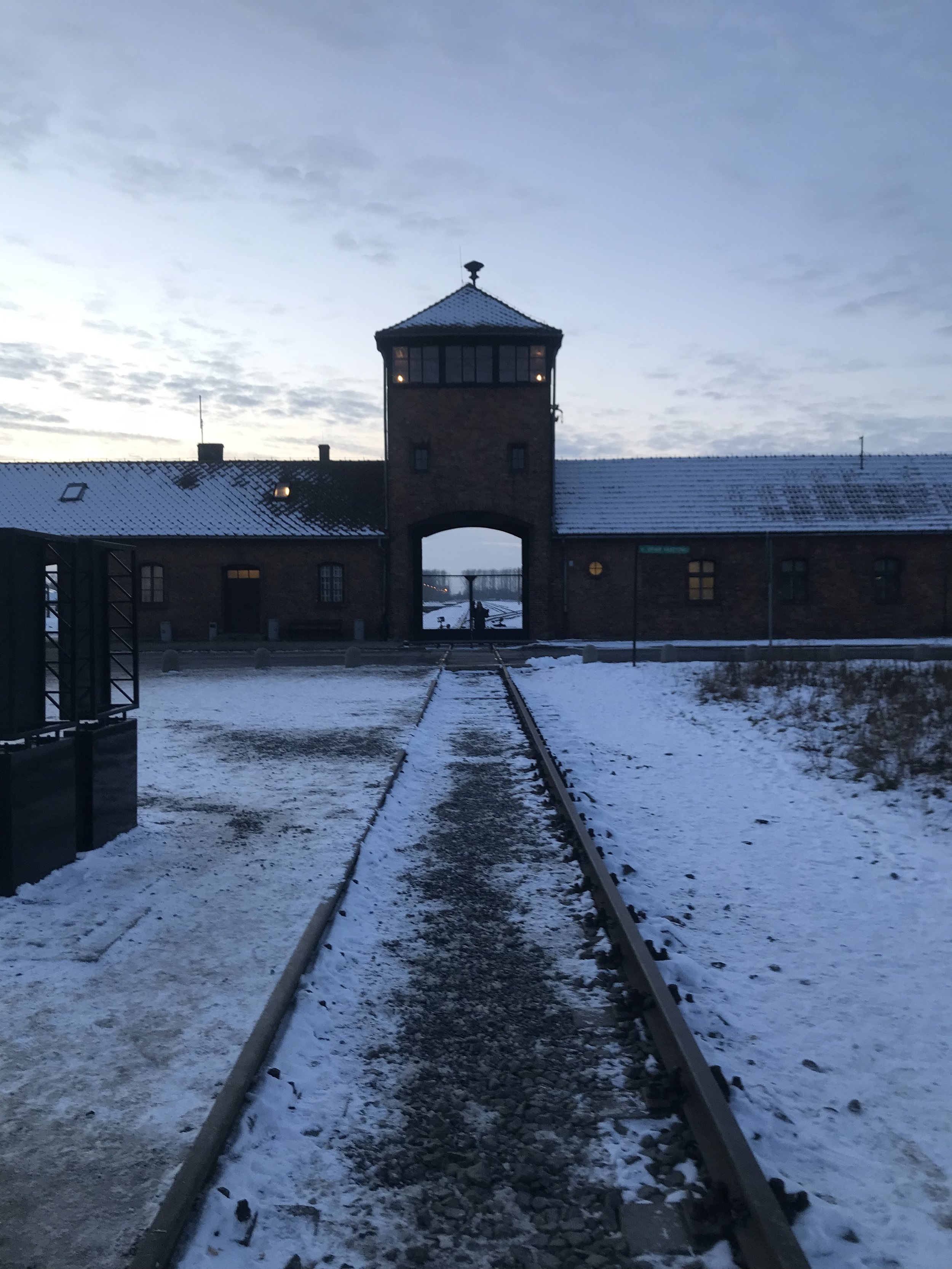 Nancy standing traintrack entrance Auschwitz 2.jpeg