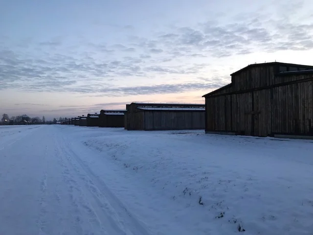 Birkenau Barracks.jpg