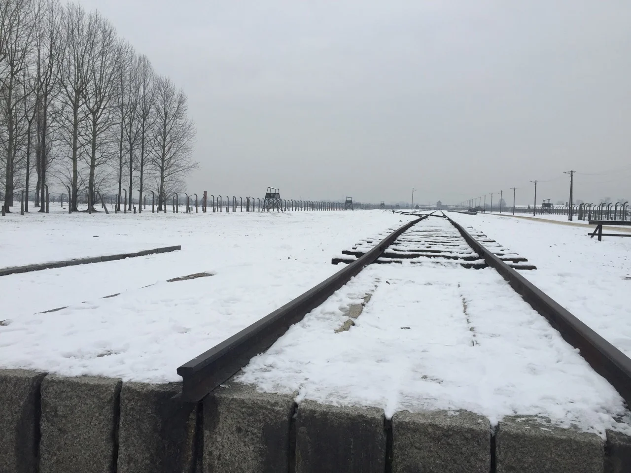 Birkenau auschwitz train tracks end of the line.jpeg