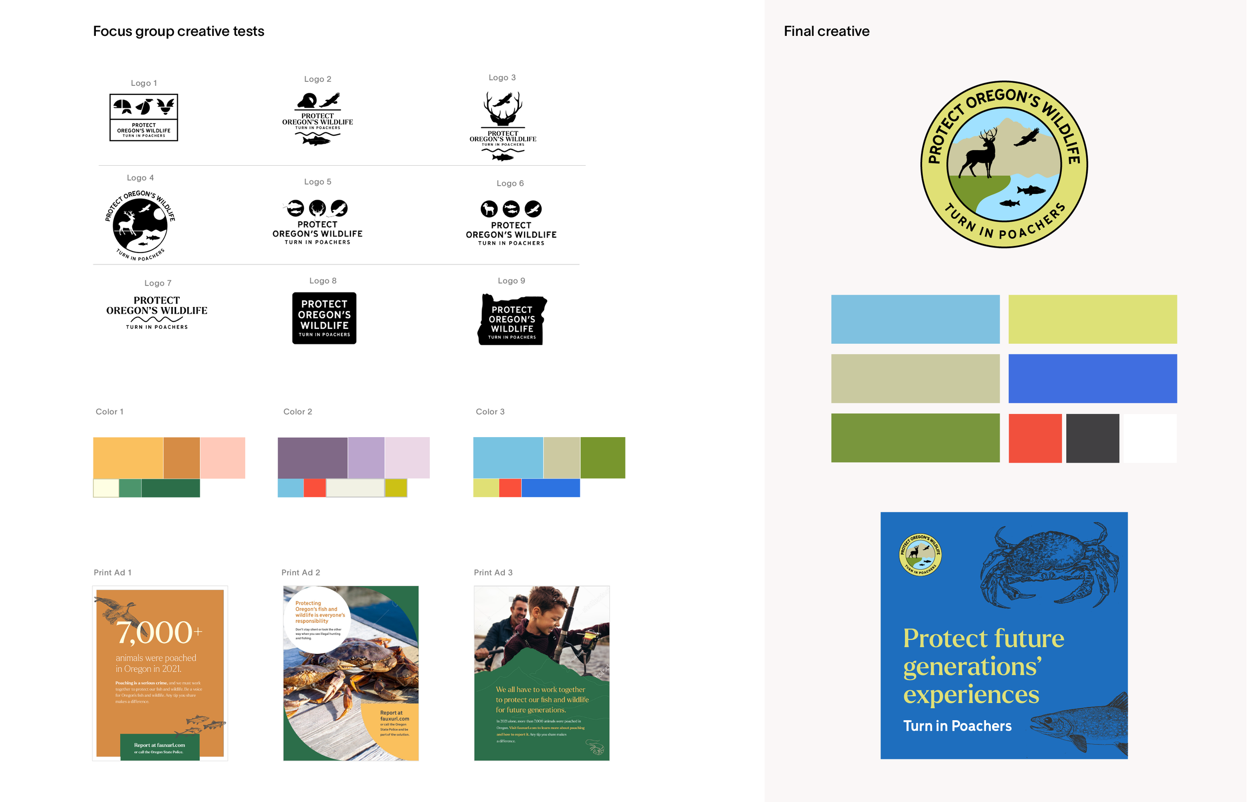 Focus group testing assets