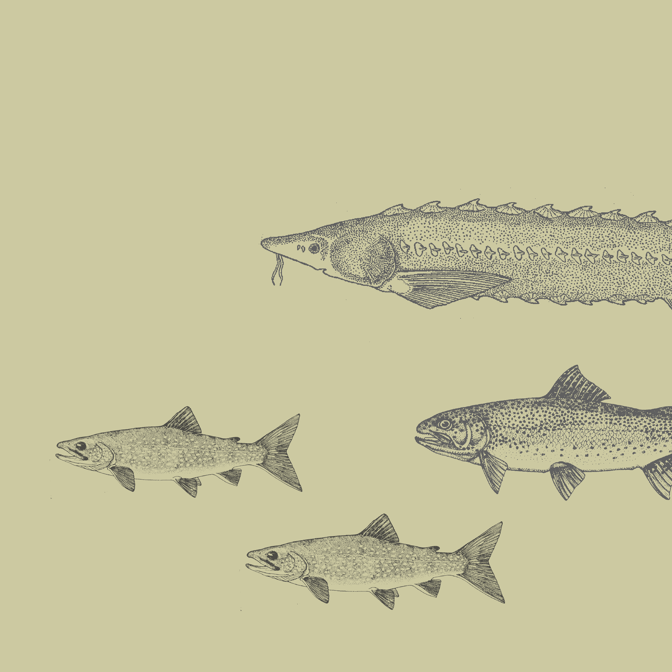 ODFW_mockup_LP thumb.png