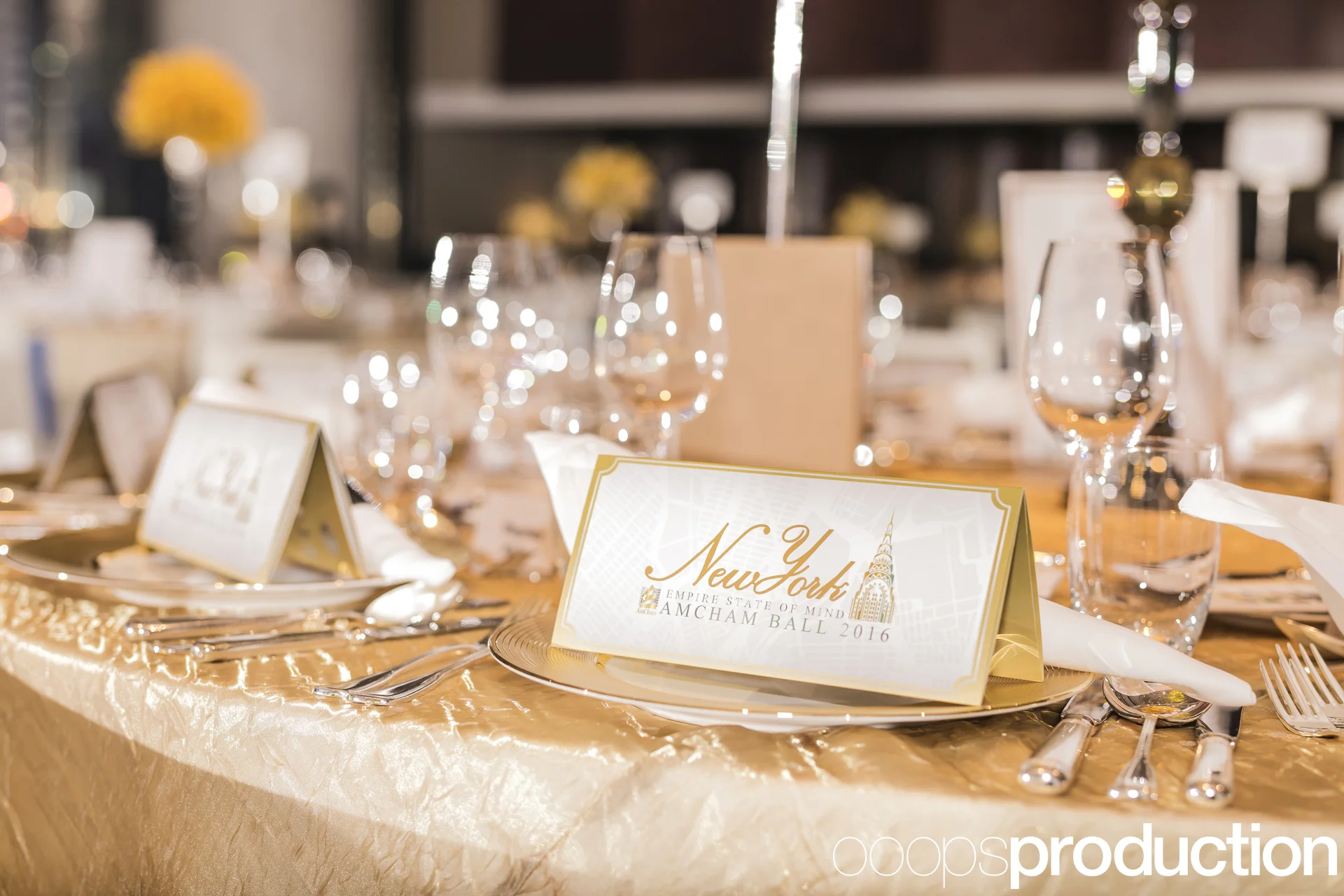 AmChamBall2016_001.jpg