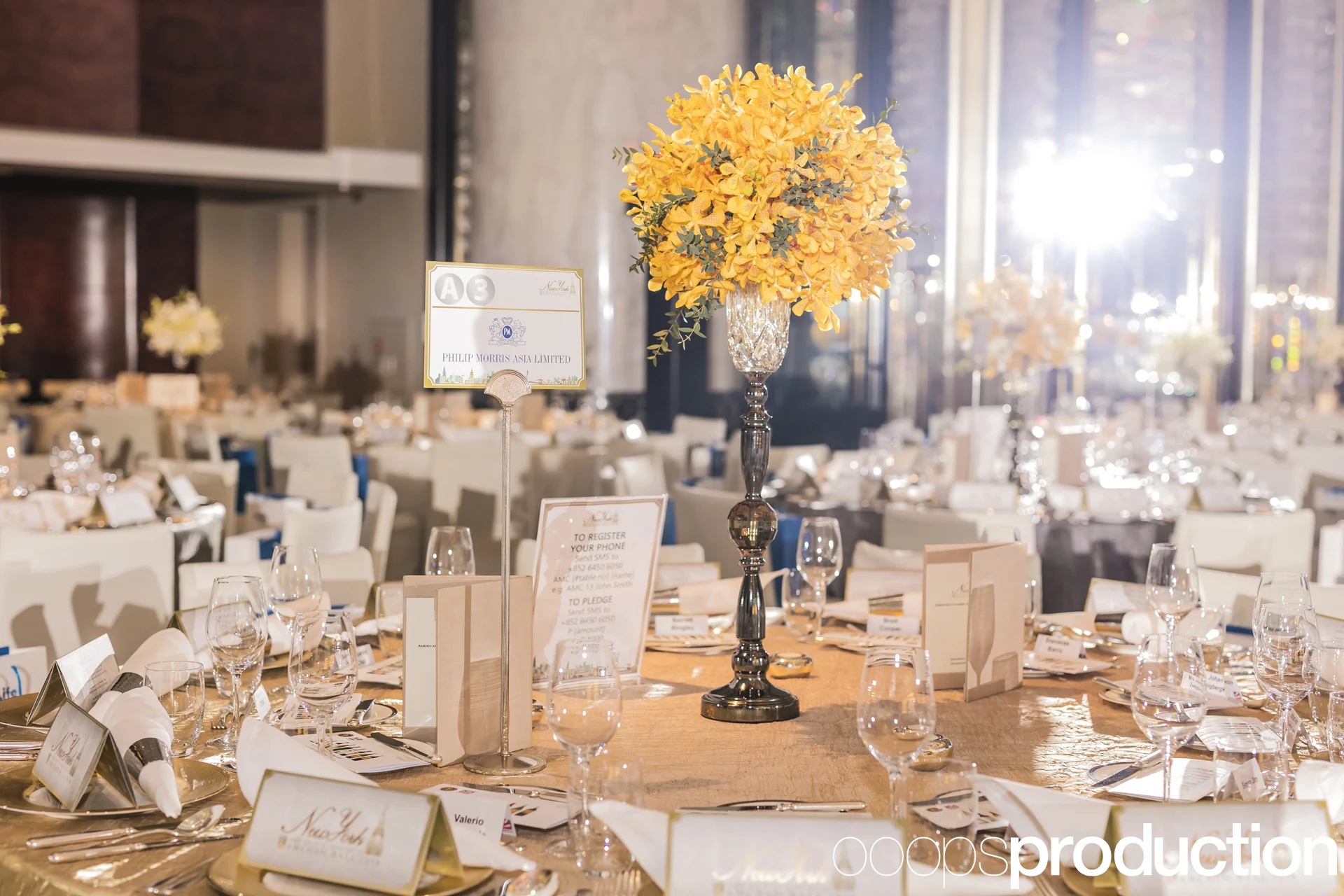 AmChamBall2016_002.jpg