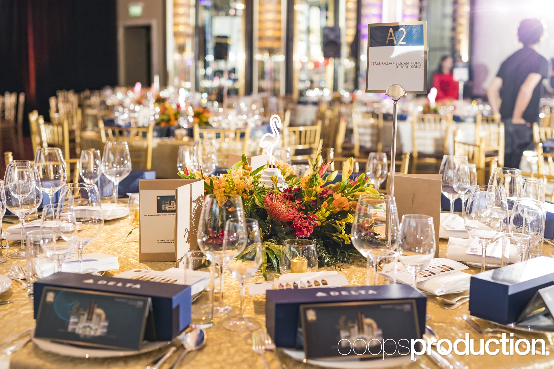 AmChamBall2017K0007.jpg