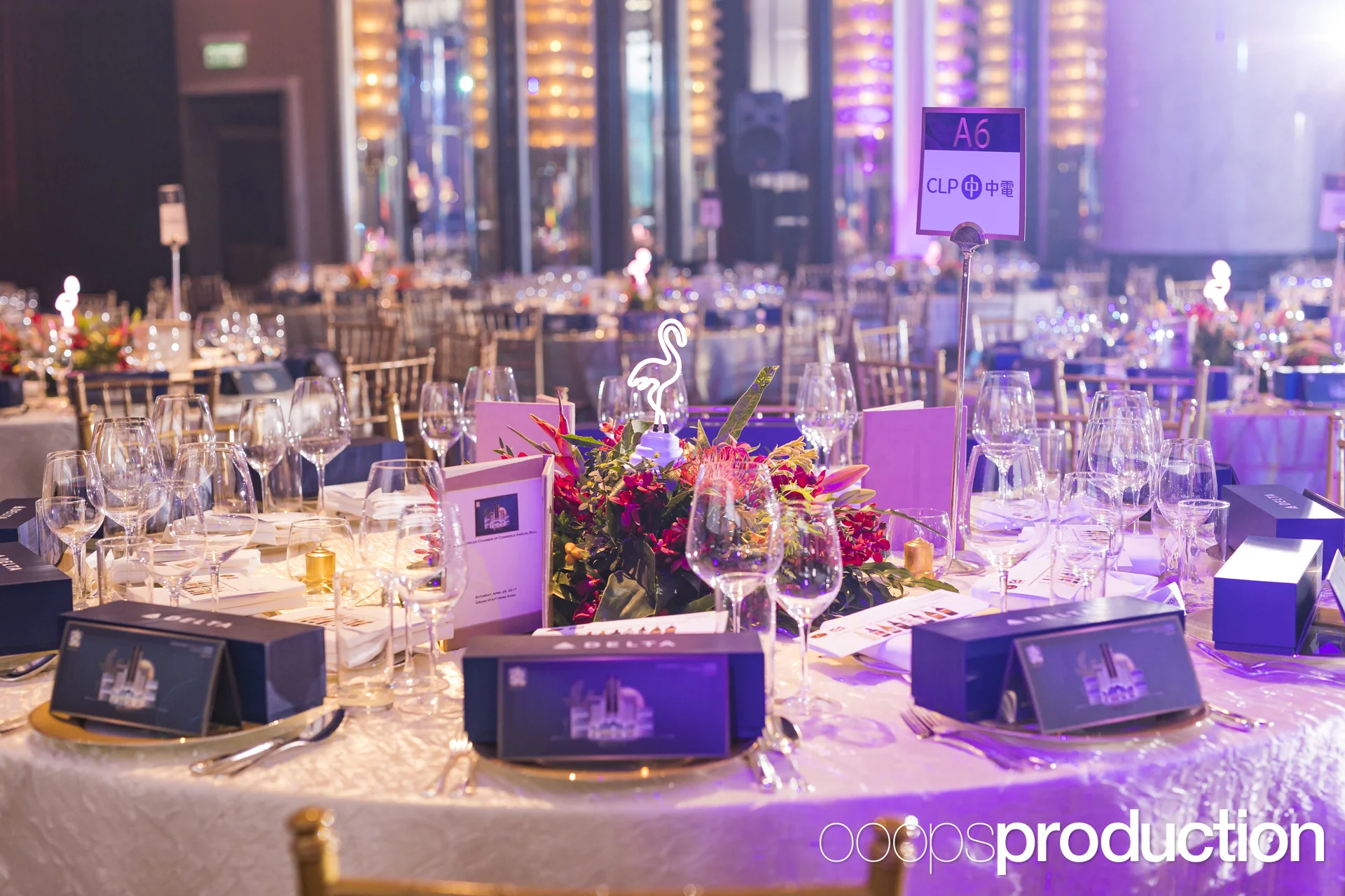 AmChamBall2017K0026.jpg