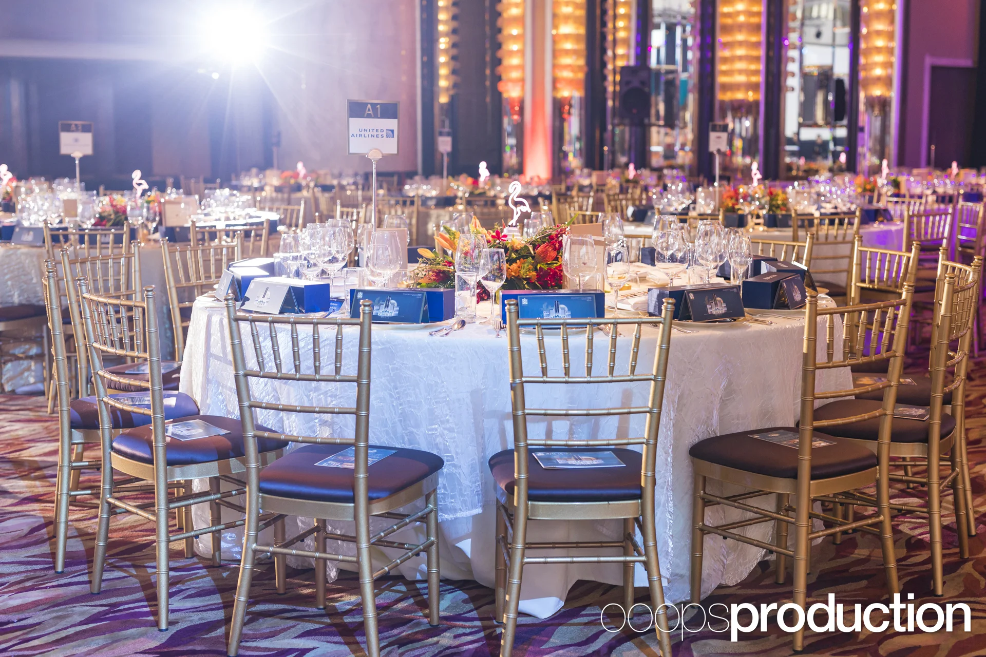 AmChamBall2017K0029.jpg