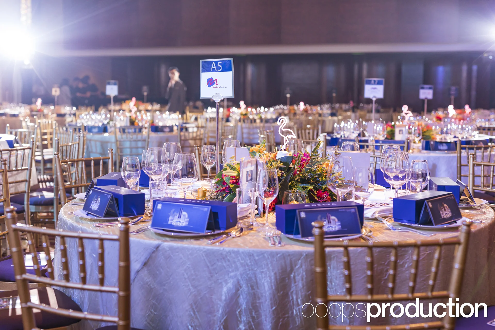 AmChamBall2017K0030.jpg