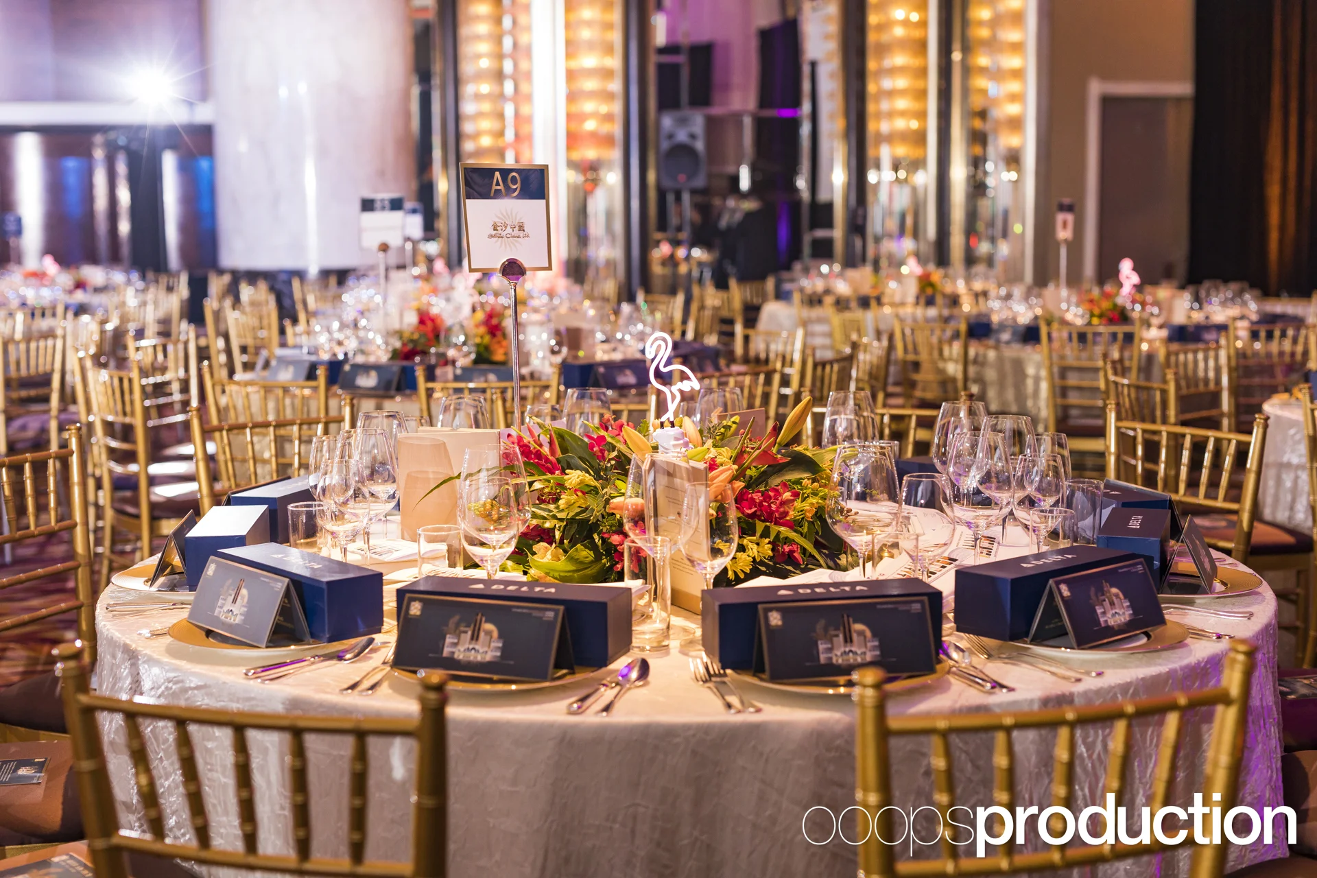 AmChamBall2017K0032.jpg