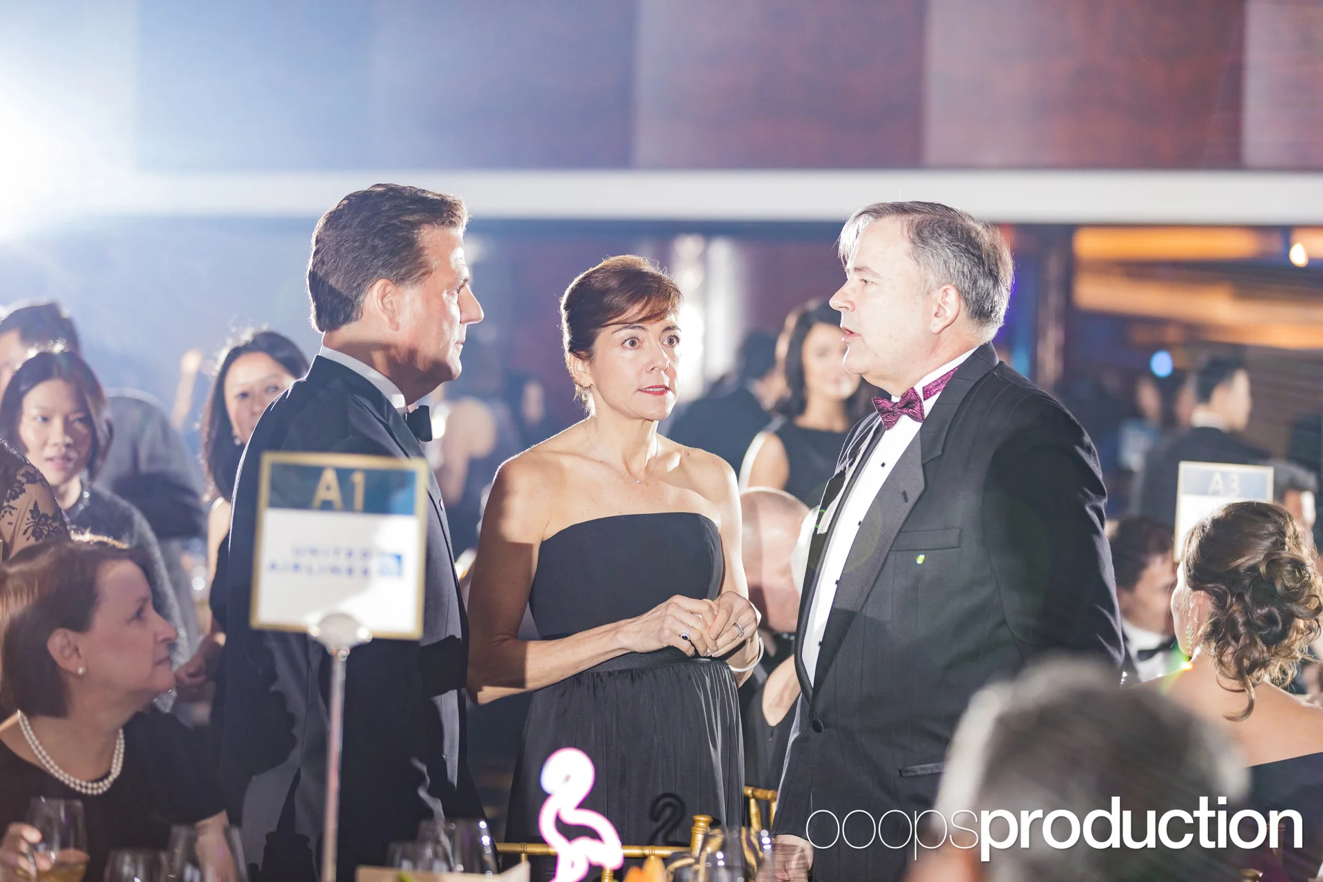 AmChamBall2017K0413.jpg