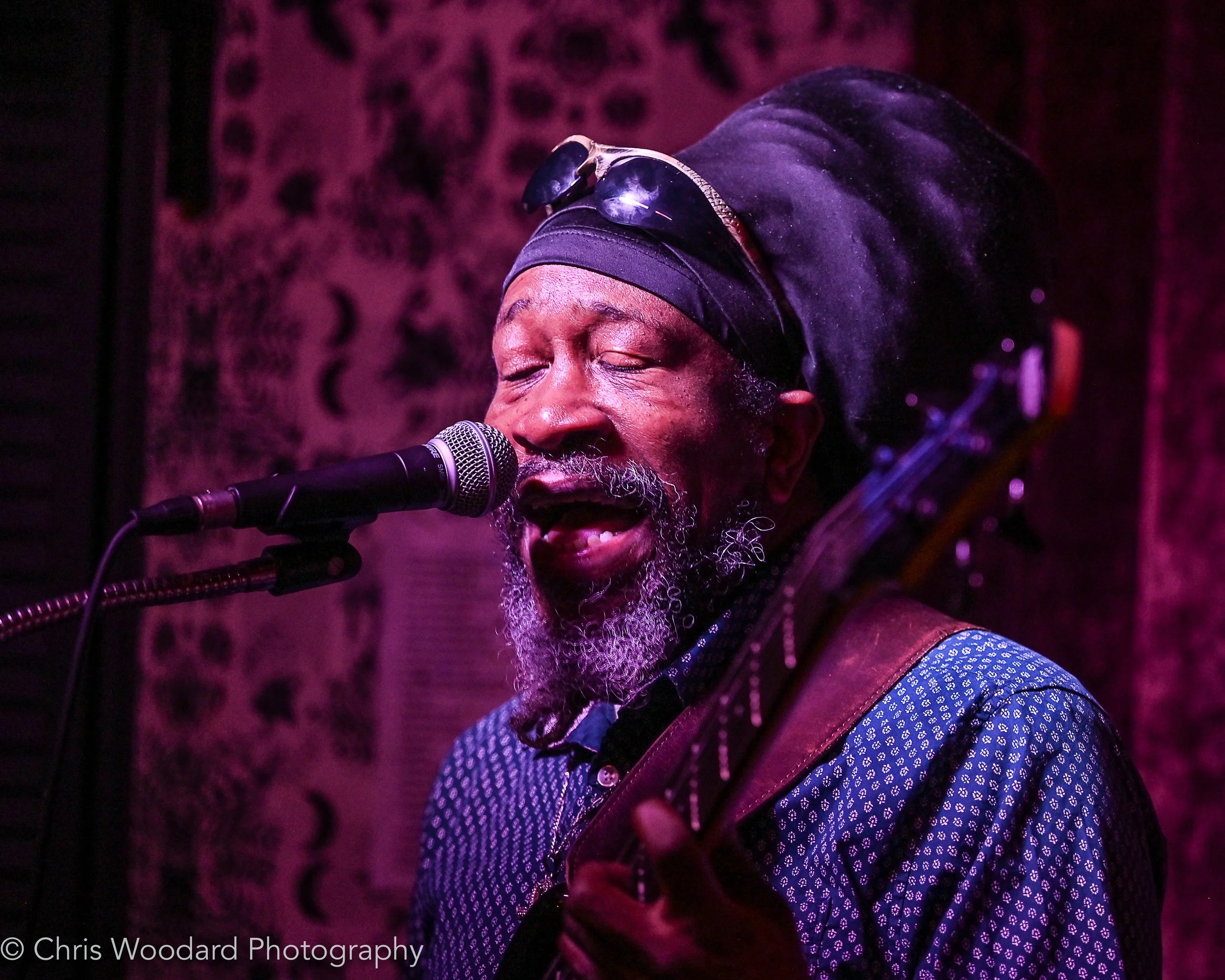 Shows — David Langlois