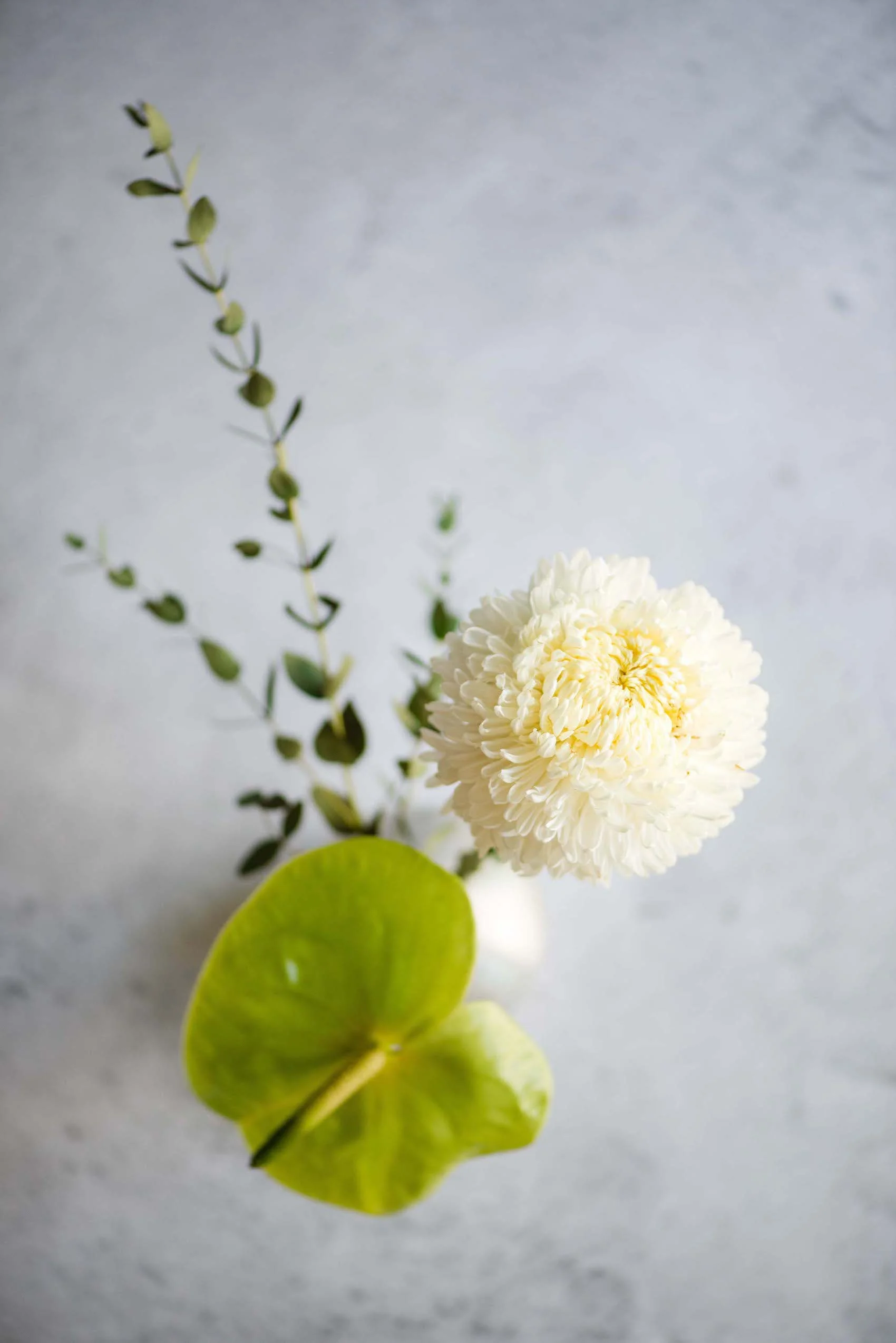 Flowers in white and green.jpg