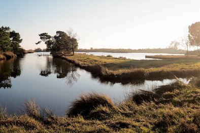 BAY OF ARCACHON-2.jpg