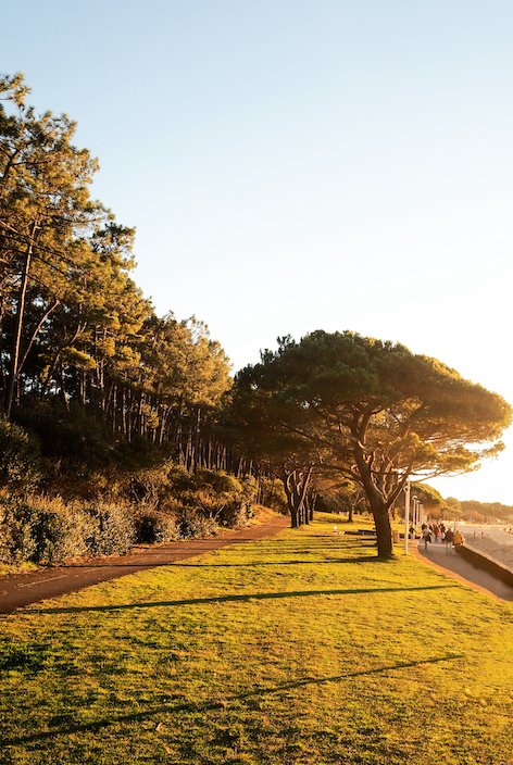 BAY OF ARCACHON copy.jpg