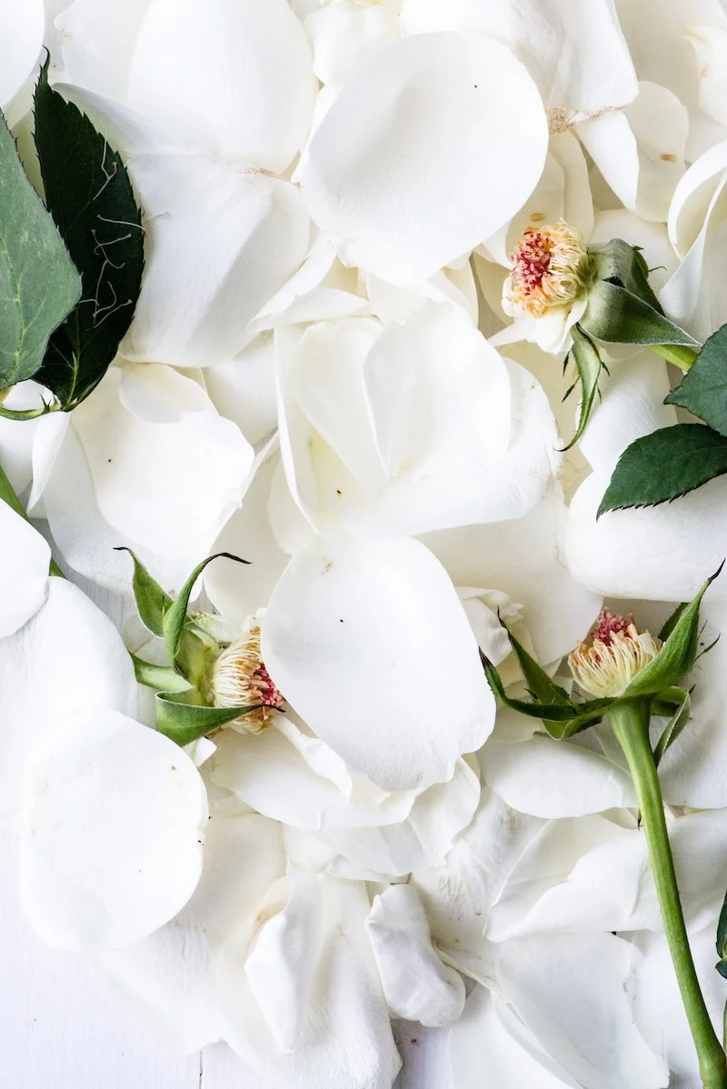 White+roses+2.jpeg