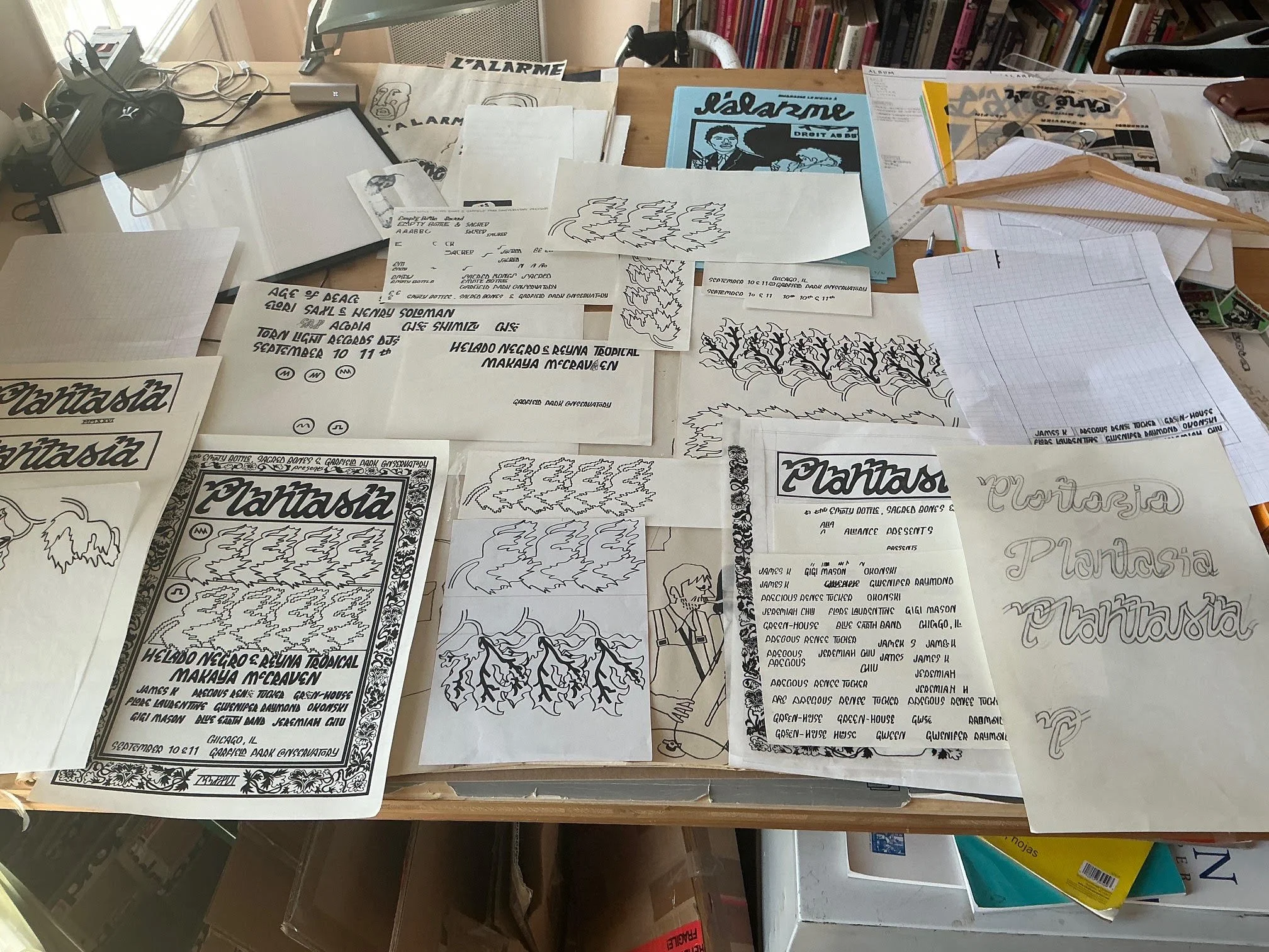 unnamed (13).jpg
