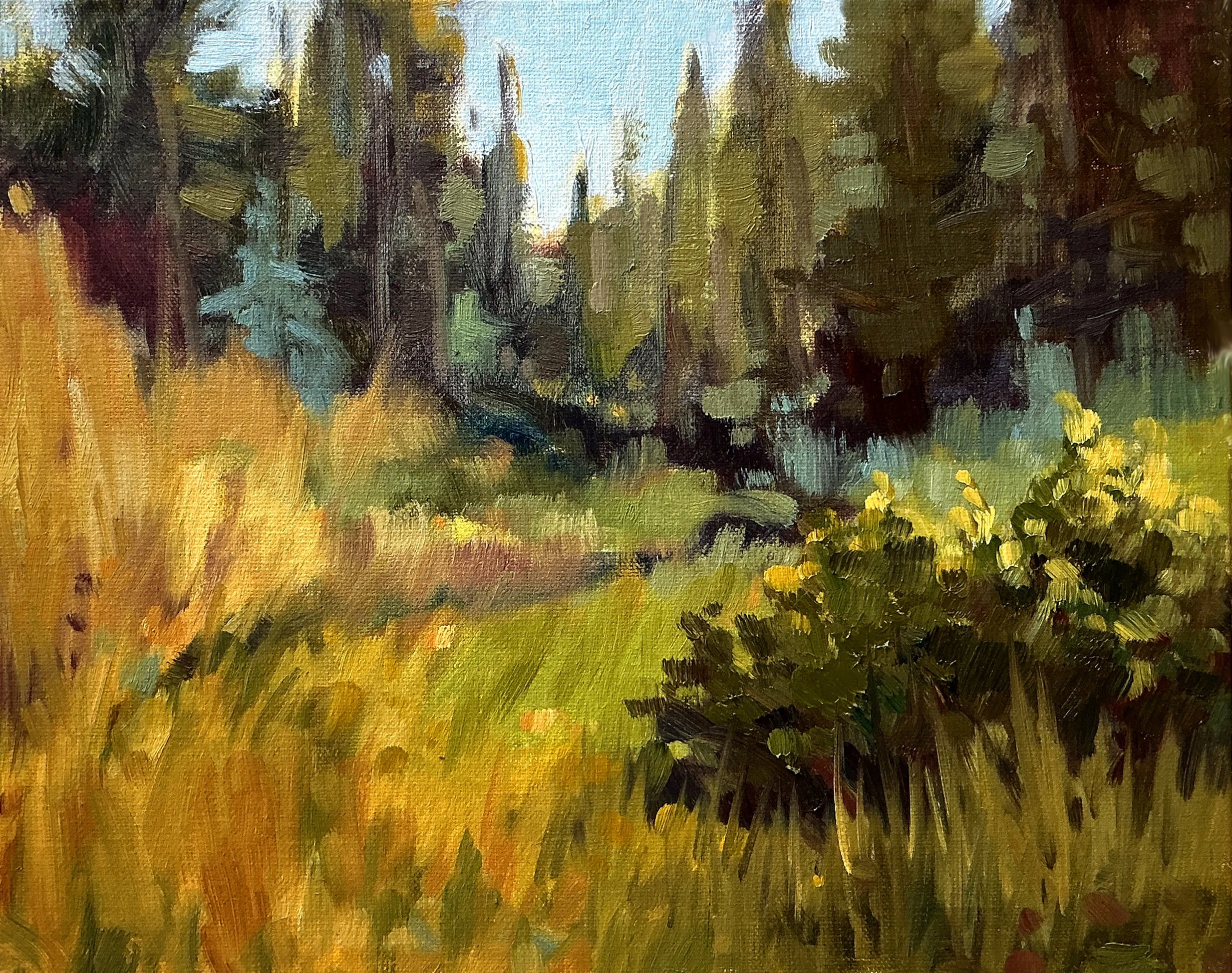 SummerMeadow.jpg