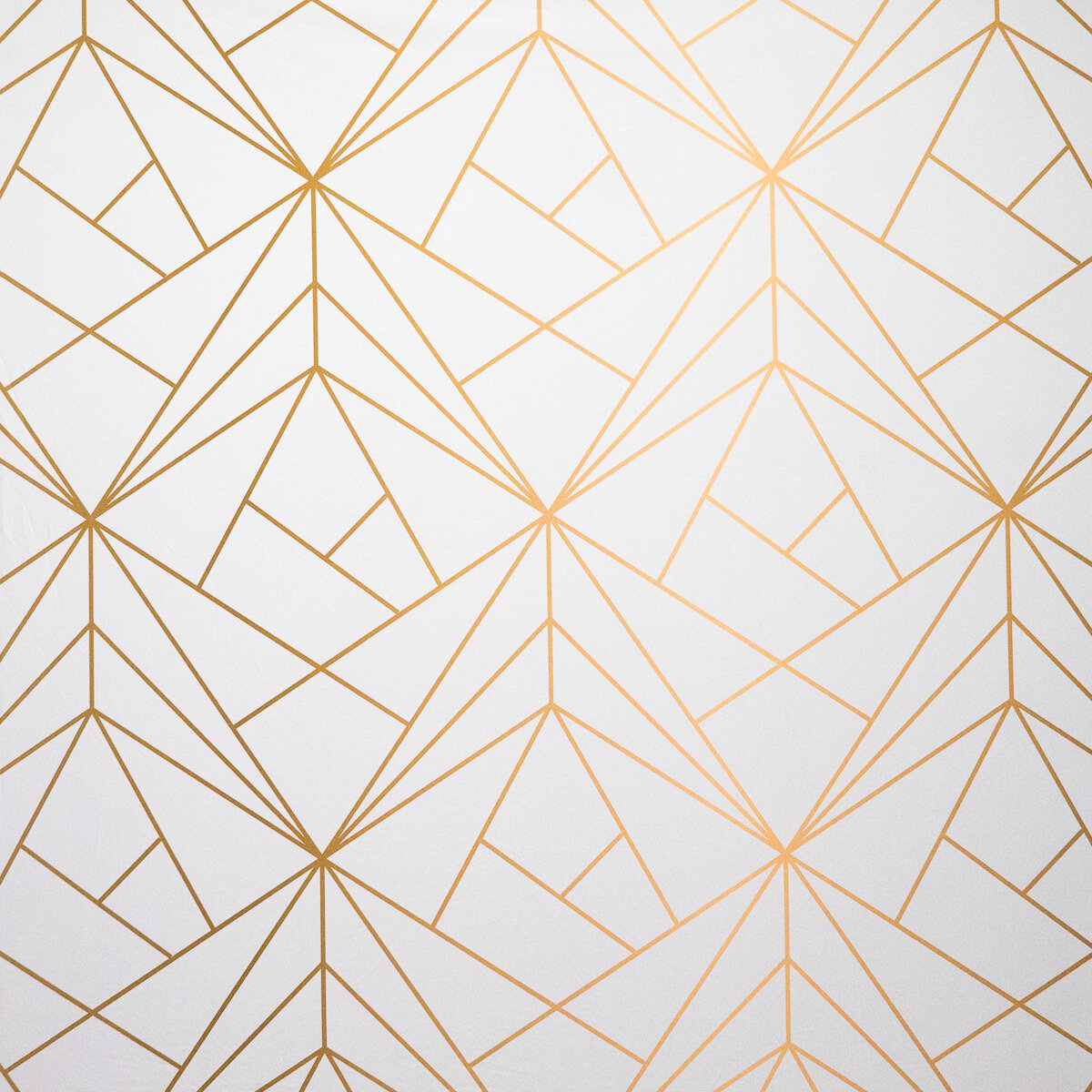 White and Gold Vector
