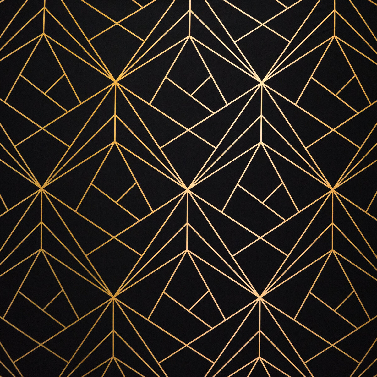 Black and Gold Vector