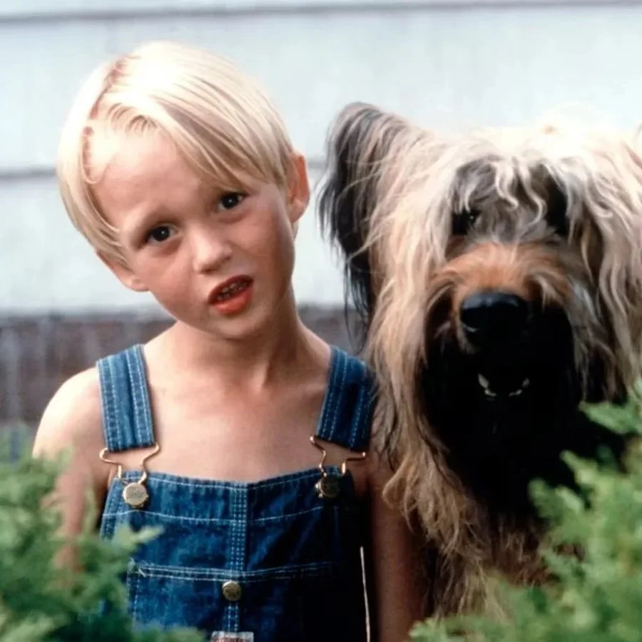 266 - Pt. 1 - Dennis the Menace (CC) episode artwork
