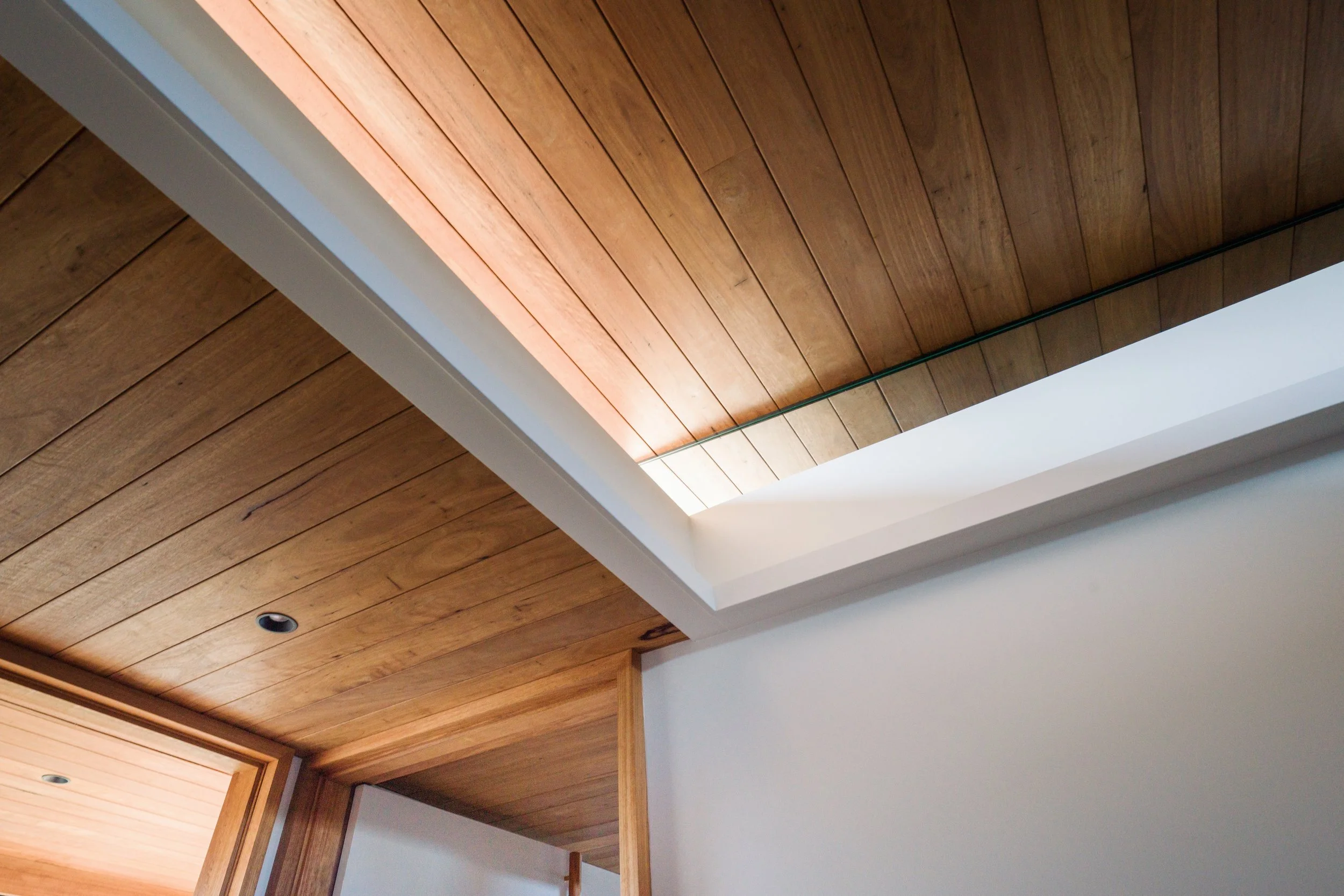 Newton Barda Tutus Rd 0331 HR.jpeg