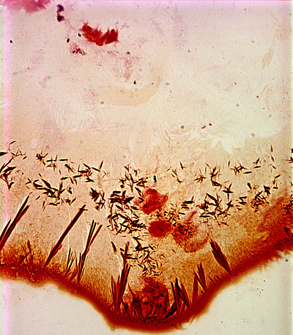 Image3.jpg