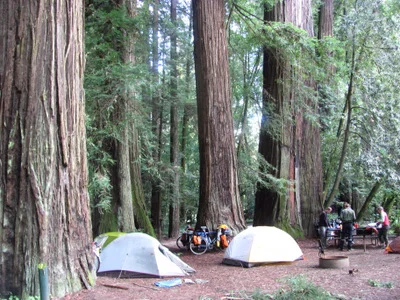 Our first night back in the redwoods