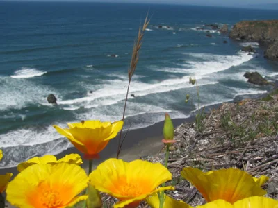 The Pacific Ocean