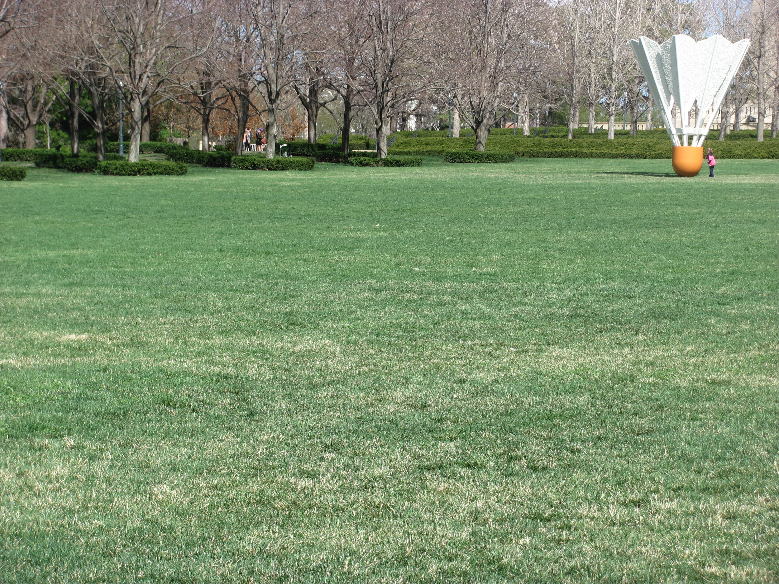 Bike49 Movie Intro Preview