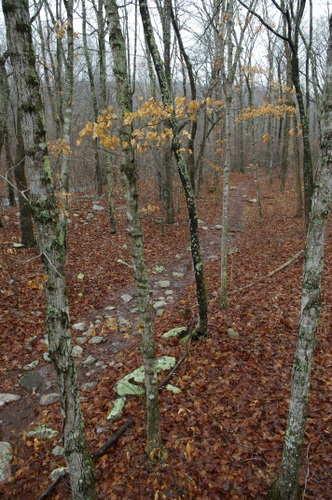 A great section of the Ozark Trail