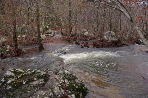 I called it quits when the trail crossed this stream
