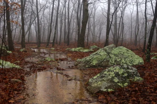 Lightning Strikes Missouri's High Point