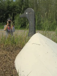 Aaron studies a less-than-real bird