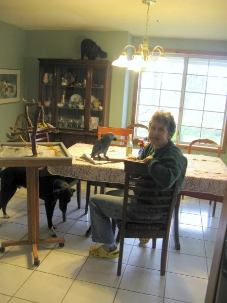 Katie's home is full of kindness and animals.