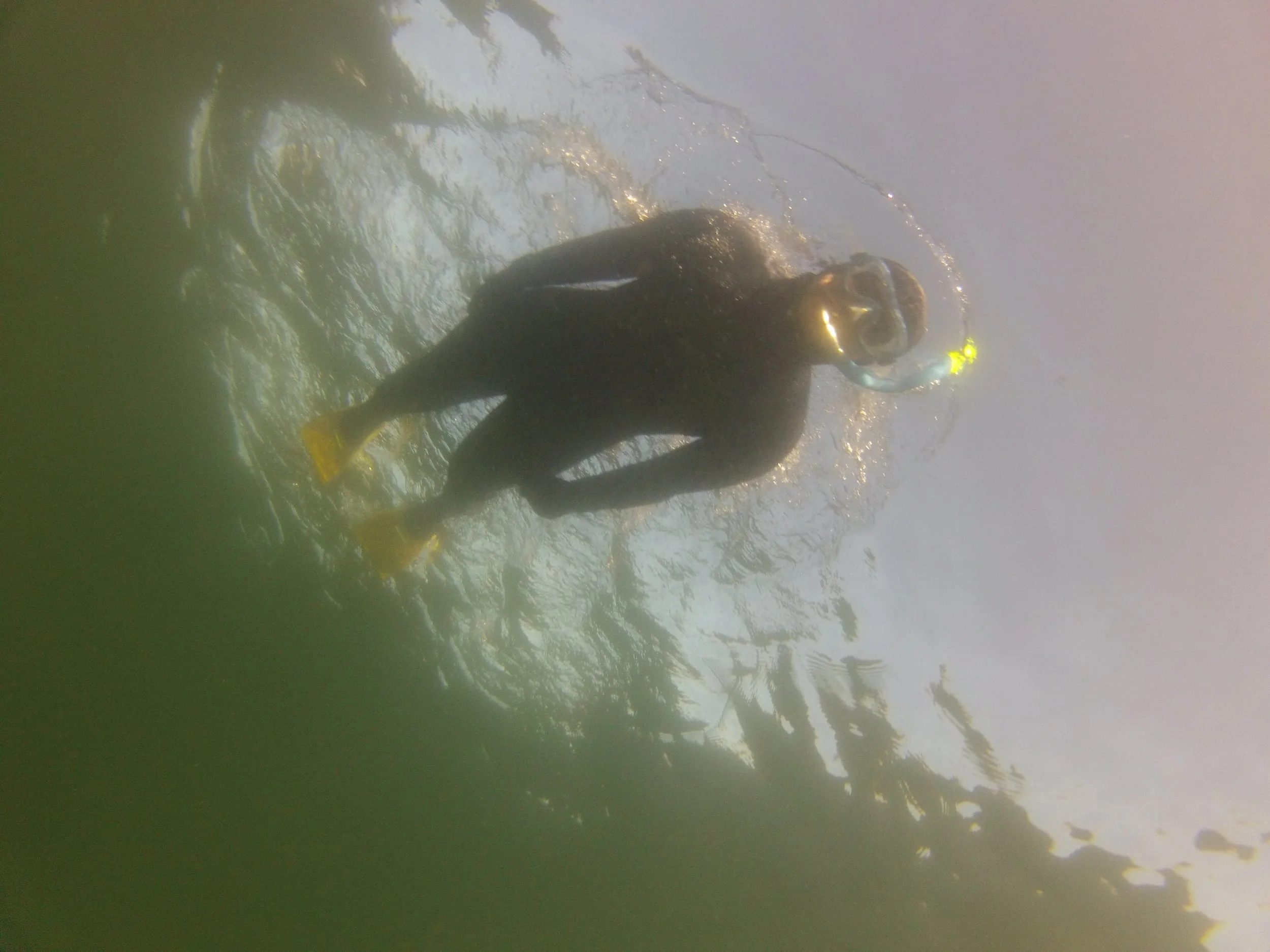 DCIM100GOPRO