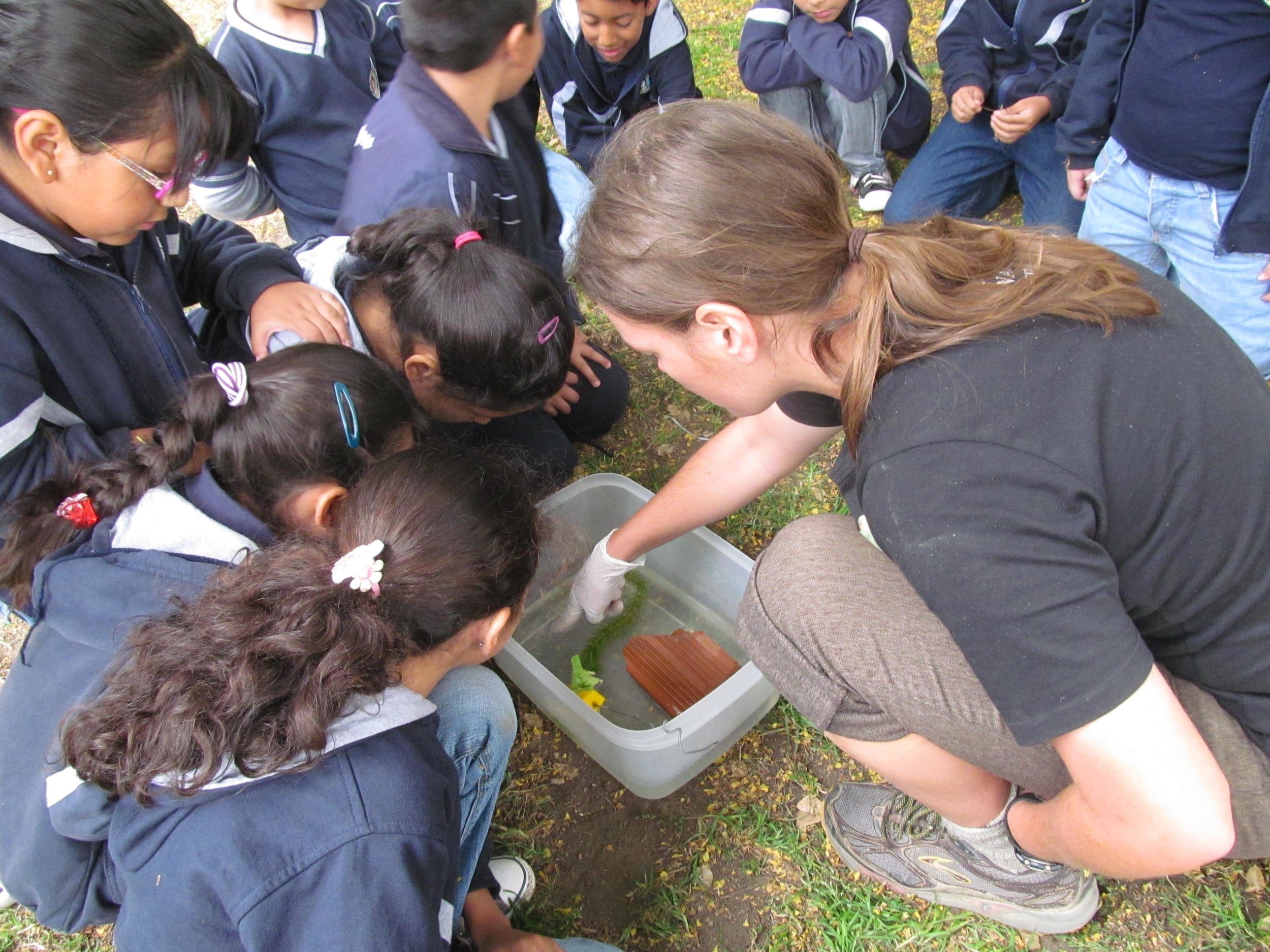 I show a group of students visiting the museum several tadpoles. Luckly I don't need to say much when I can point and they can see tadpoles in real life.