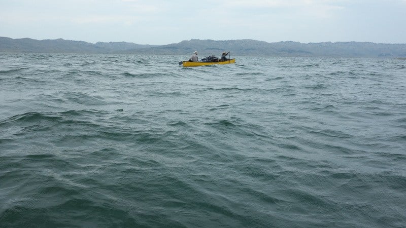 Aaron and Nia paddle through the choppy waves.