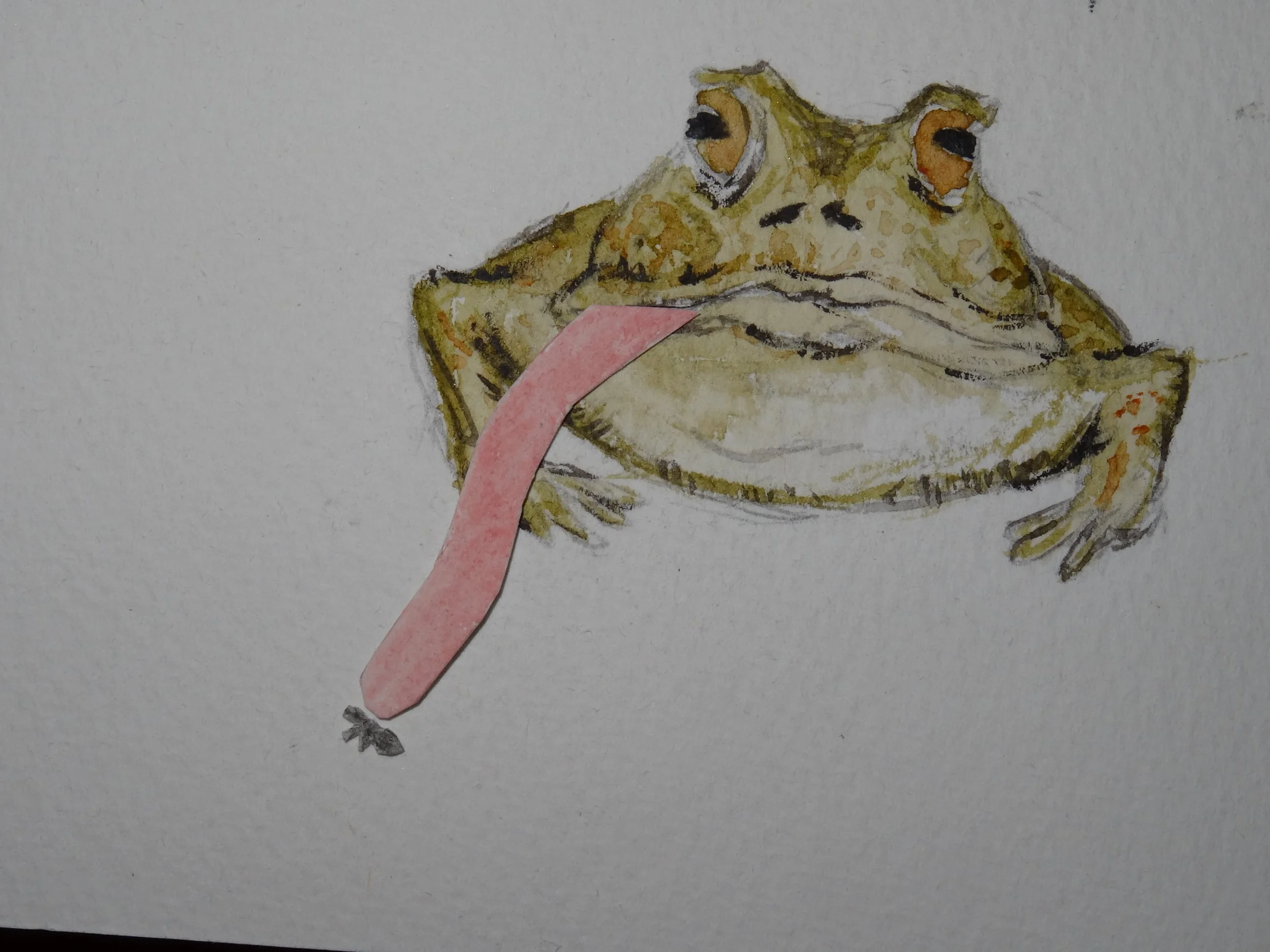 Who Eats Who: Exploring Food Cycles