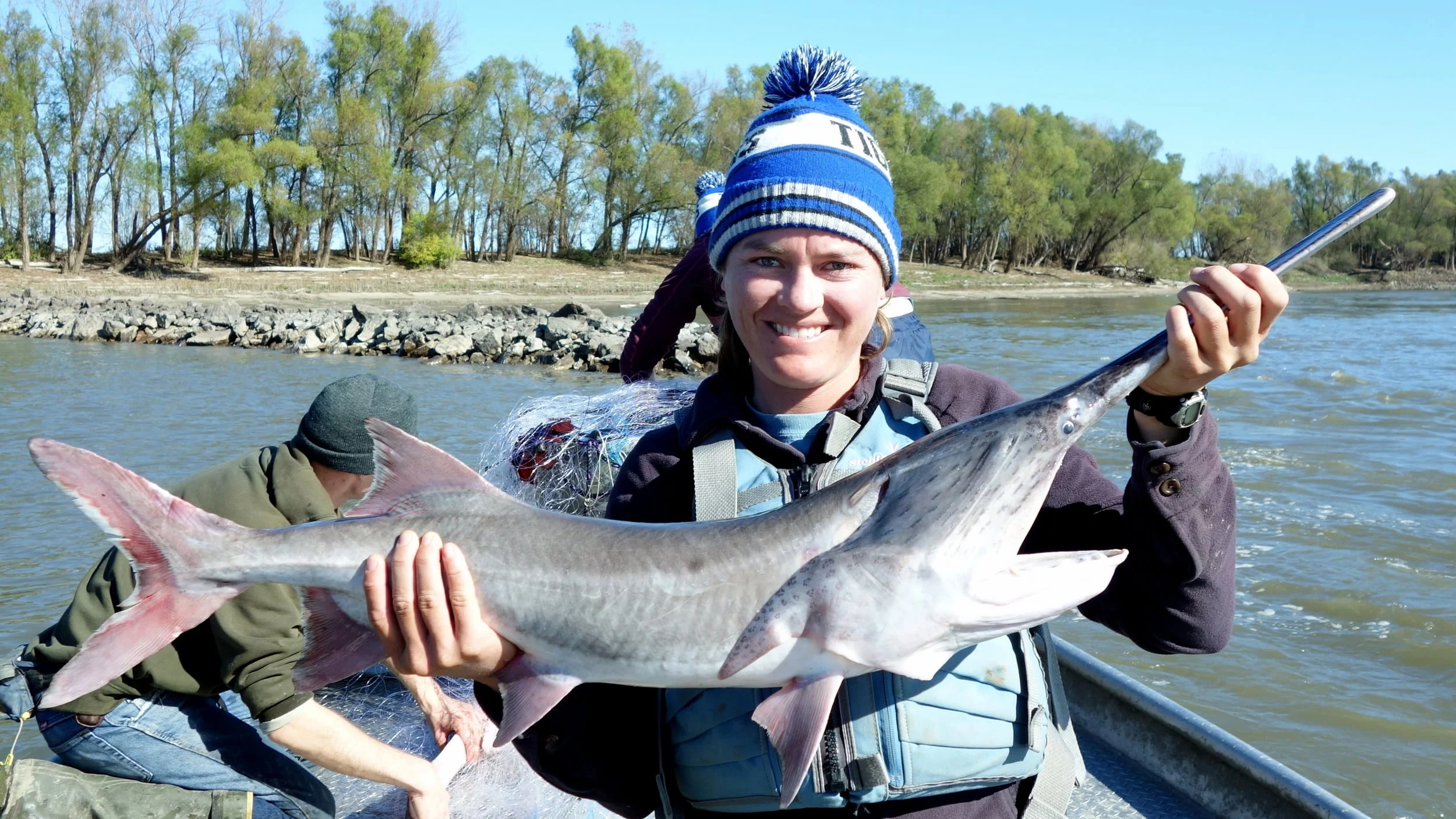 Studying Paddlefish with Experts