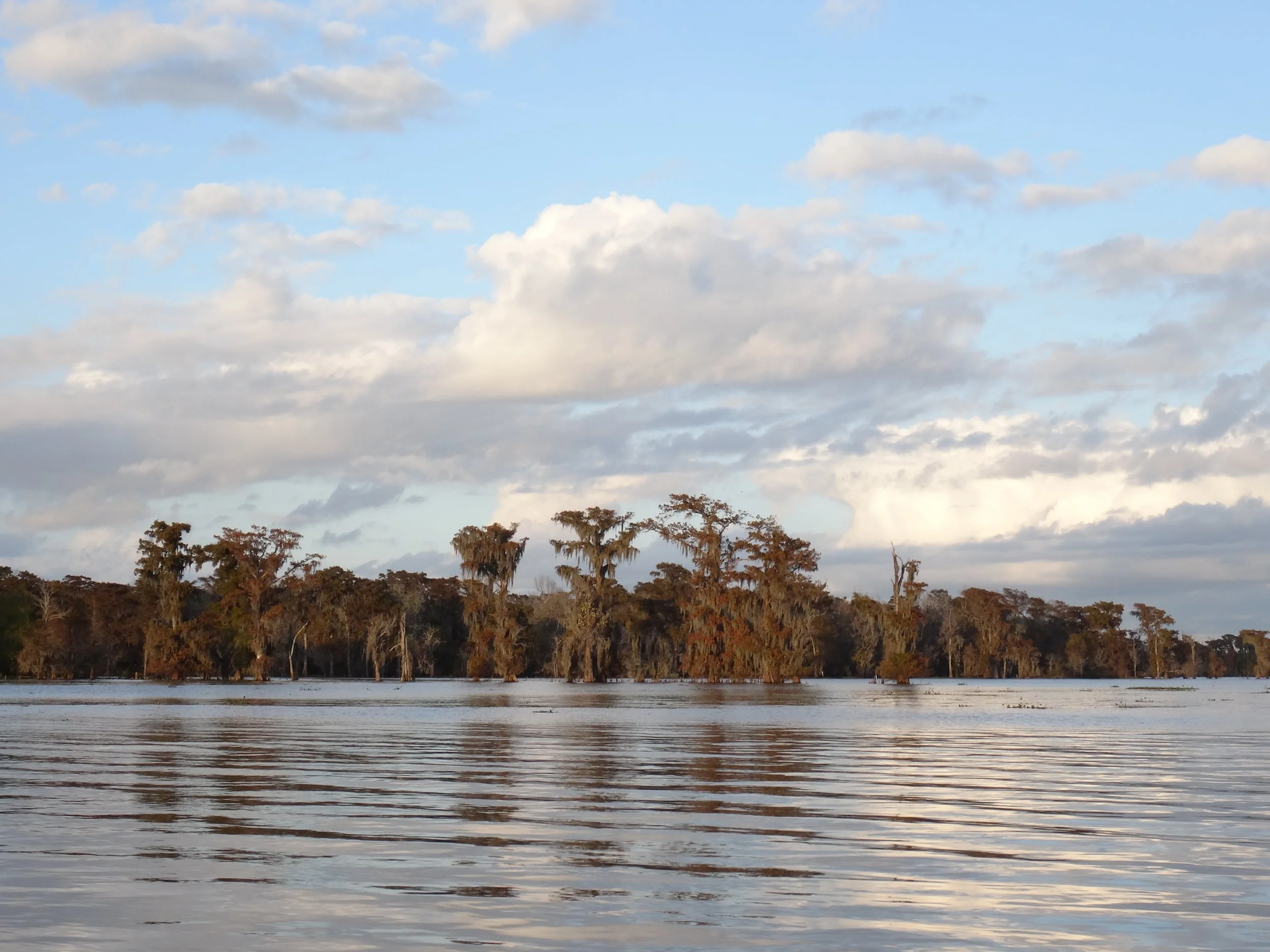 Home Sweet Home: Habitats Along Our Route