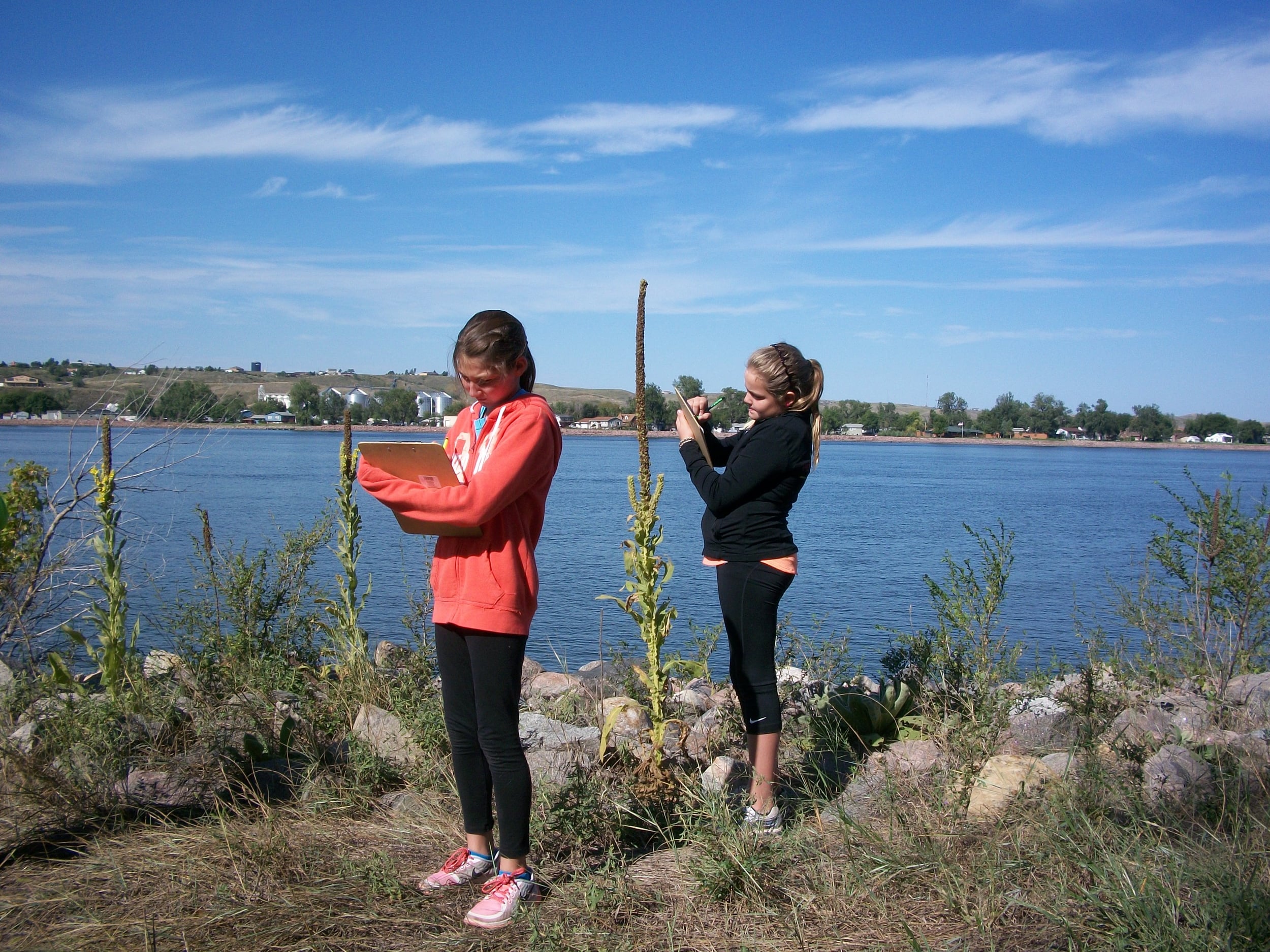 Fifth grade students make observations about organisms found along the river.