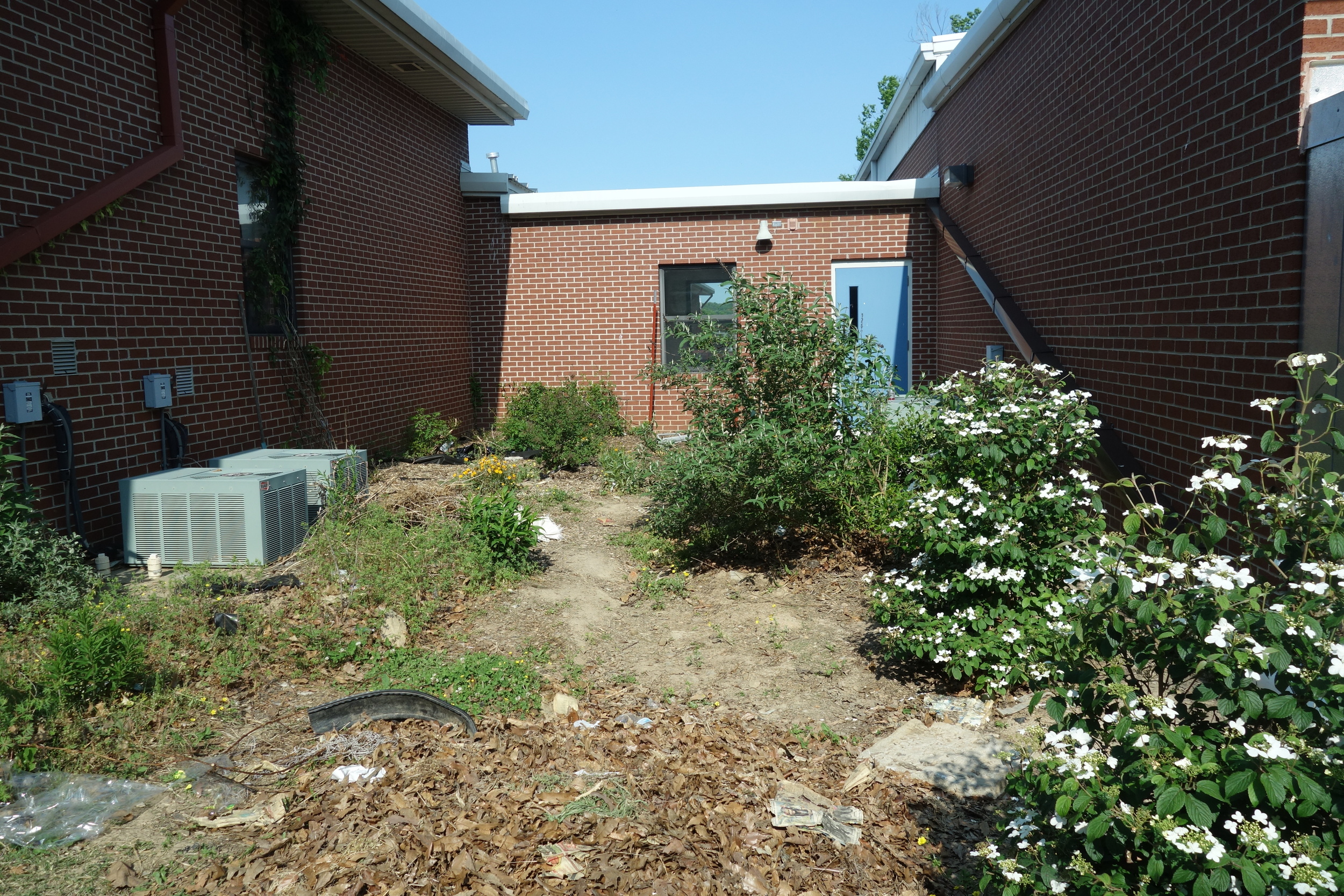 School Butterfly gardens are the perfect way to foster student's curiosity for science and foster a connection to nature. Gardens like this one at Huntsville Intermediate School in Arkansas empower students to make a difference.
