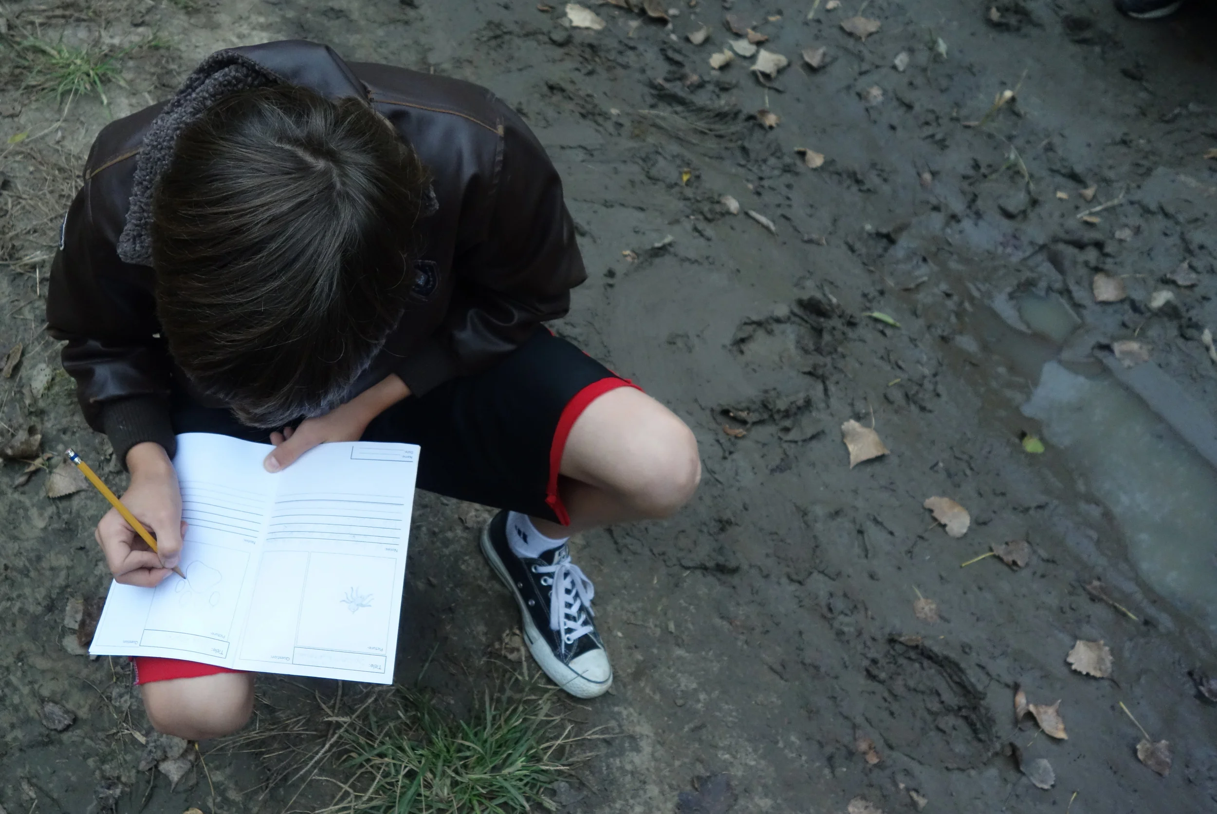 Citizen Science engages communities in real-world issues and is vital to understanding biological phenomenons.